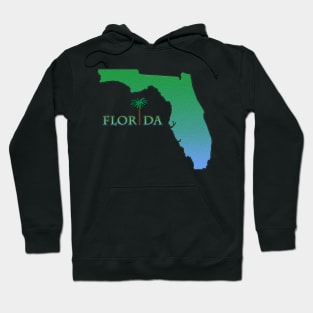 Florida State Outline Hoodie